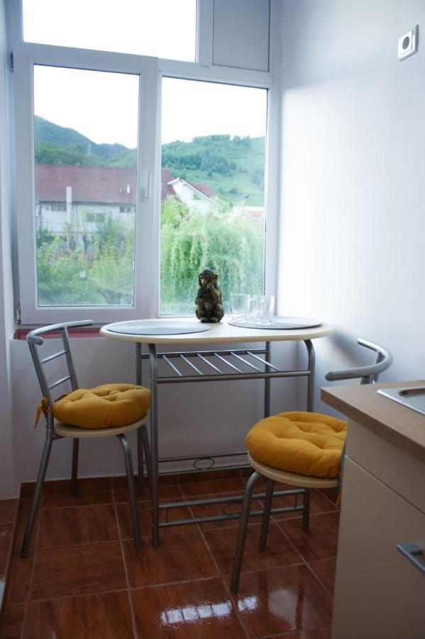 Vlad'S Downtown Apartment Petrila Экстерьер фото