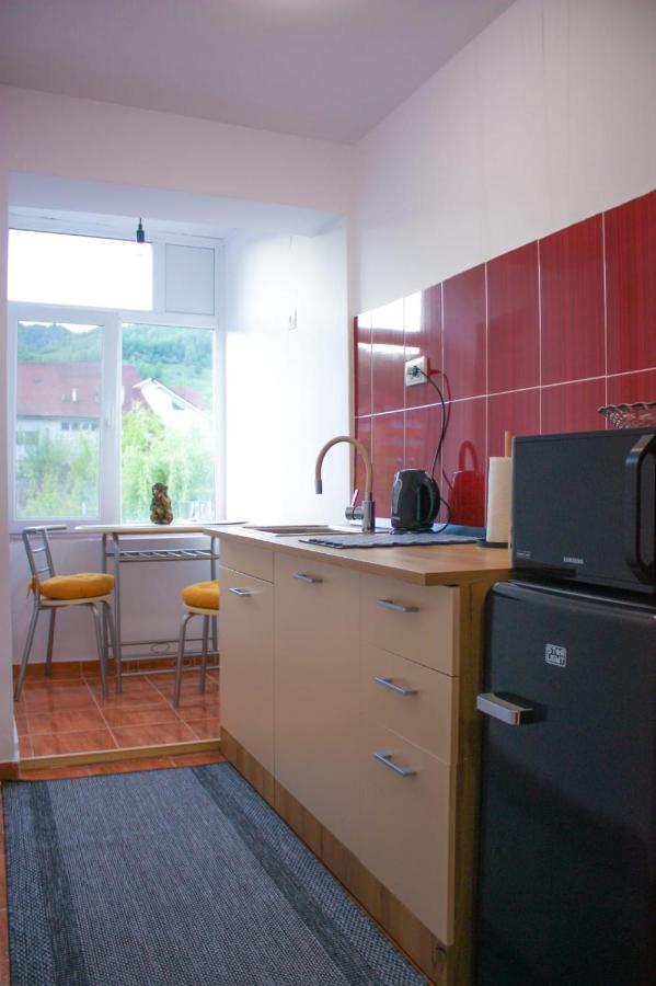 Vlad'S Downtown Apartment Petrila Экстерьер фото
